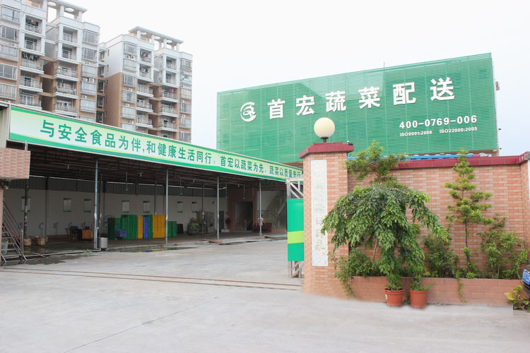 清远蔬菜配送